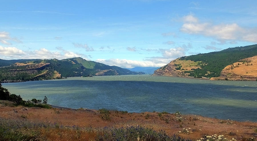 The Columbia River Photograph by Judy Wanamaker