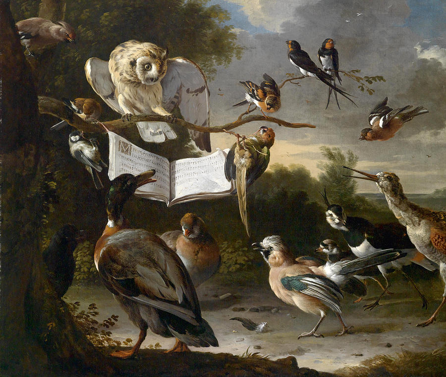 The Concert of Birds Painting by Melchior dHondecoeter