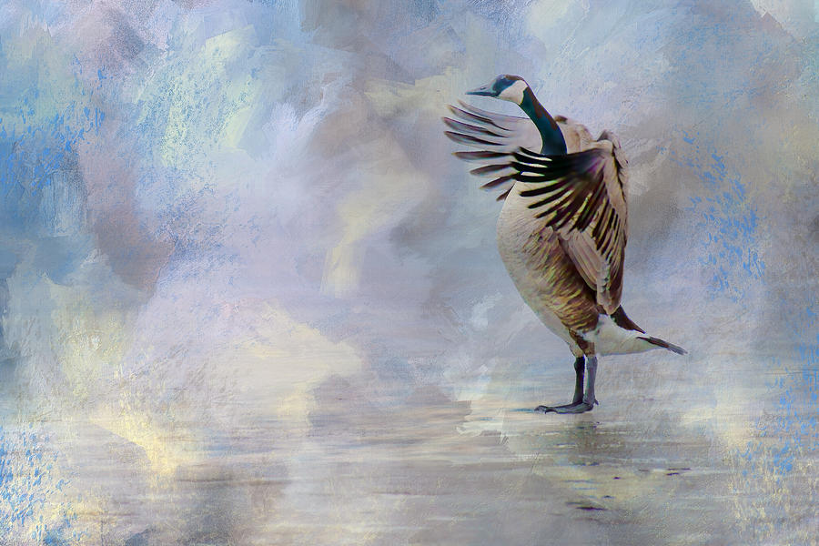 The Conductor - Canada Goose Photograph by Nikolyn McDonald