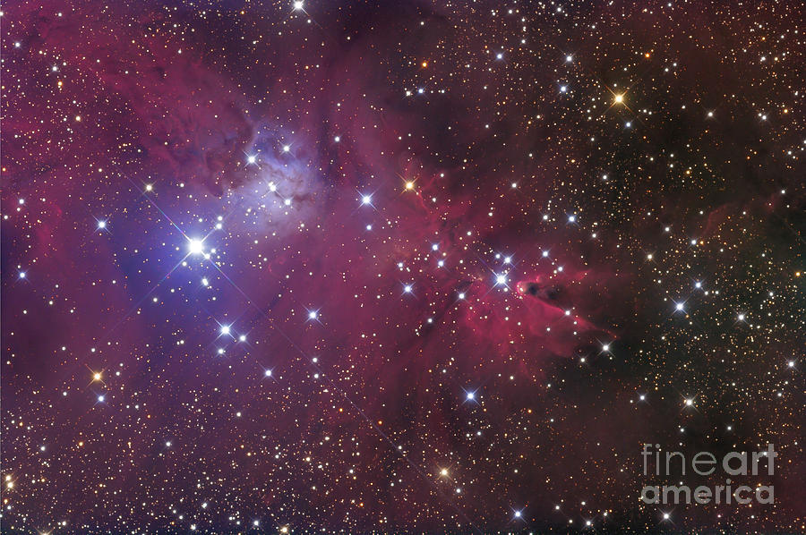 Space Photograph - The Cone Nebula by Roth Ritter