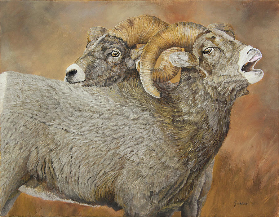 The Conquest - Bighorn Sheep Painting by Johanna Lerwick