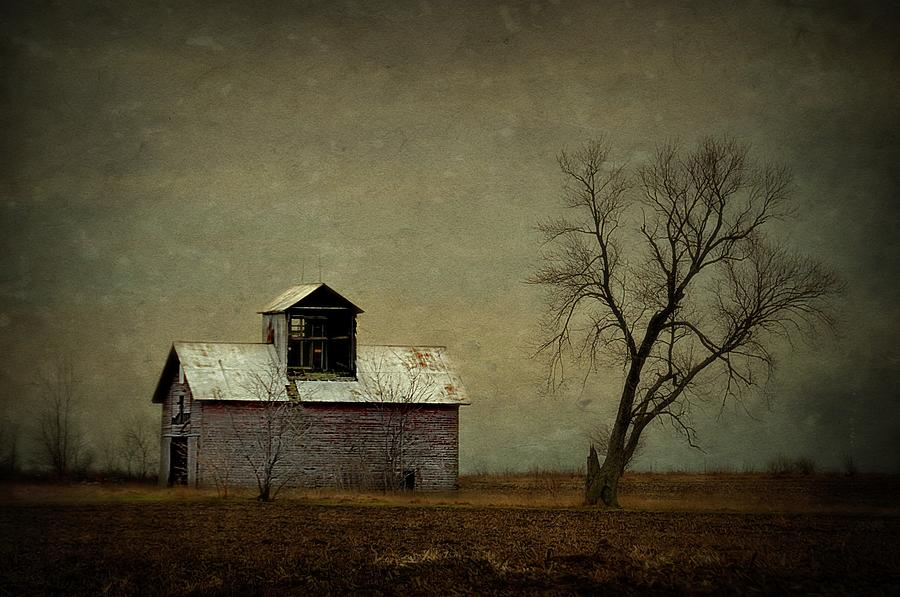 The Corn Crib Photograph By Toni Abdnour