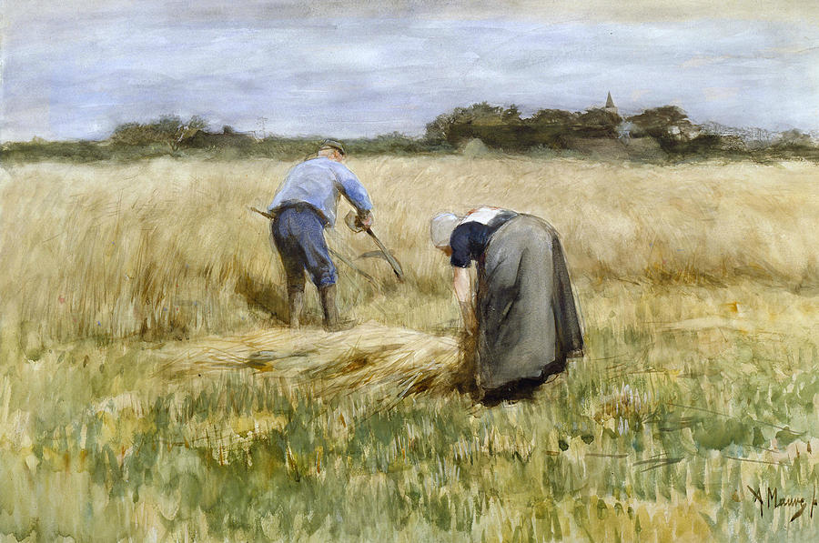Anton Mauve Painting - The Corn Harvest by Anton Mauve
