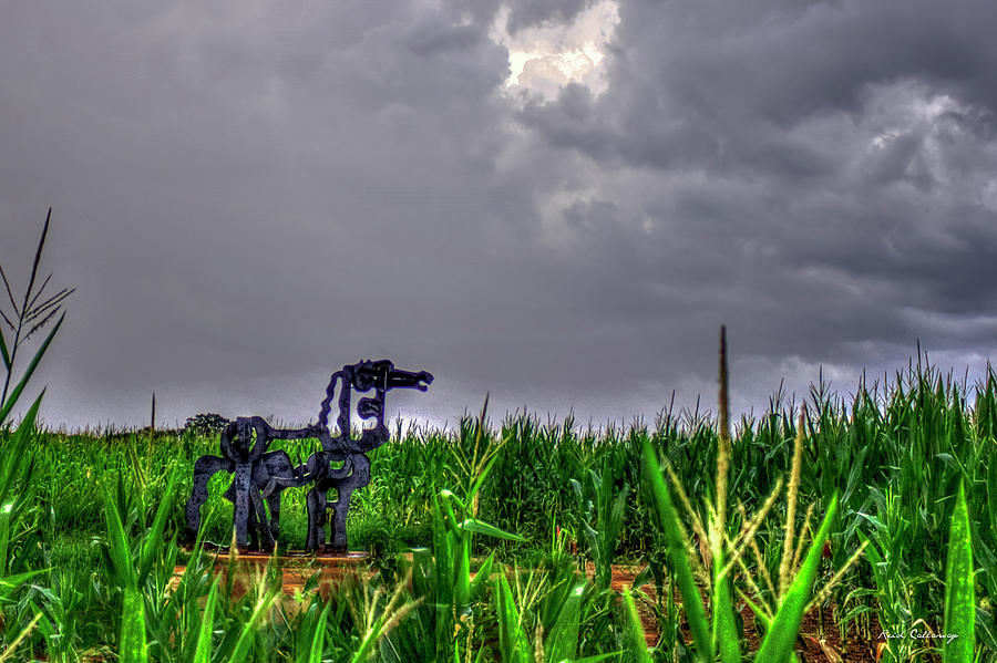 The Corn Is Up The Iron Horse Collection Art Photograph by Reid Callaway