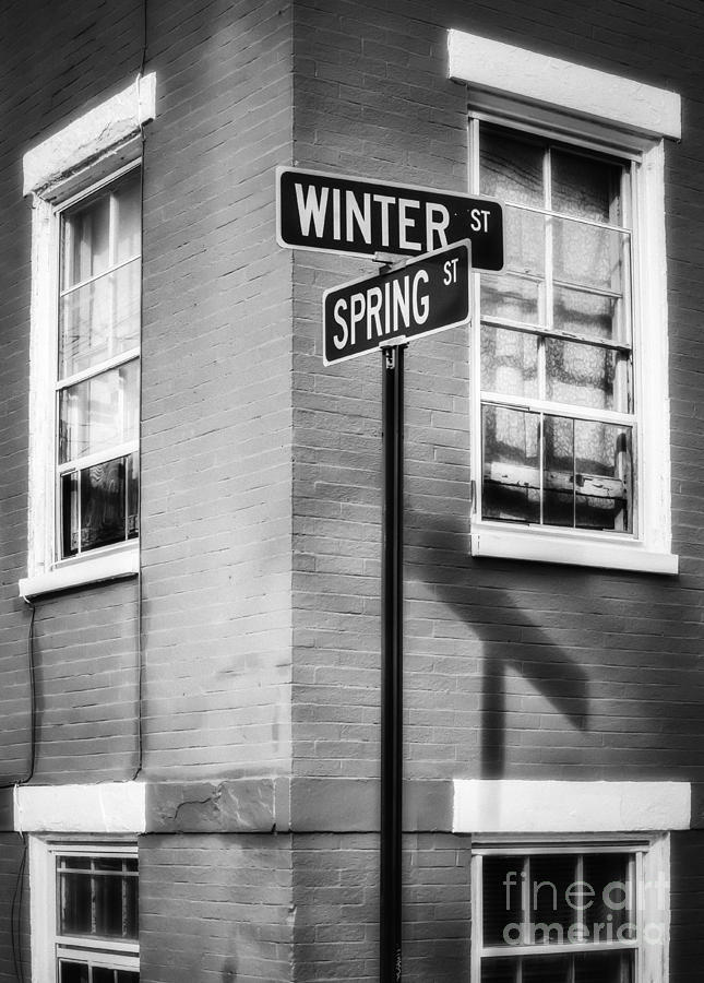 The Corner of Winter and Spring bw Photograph by Jerry Fornarotto