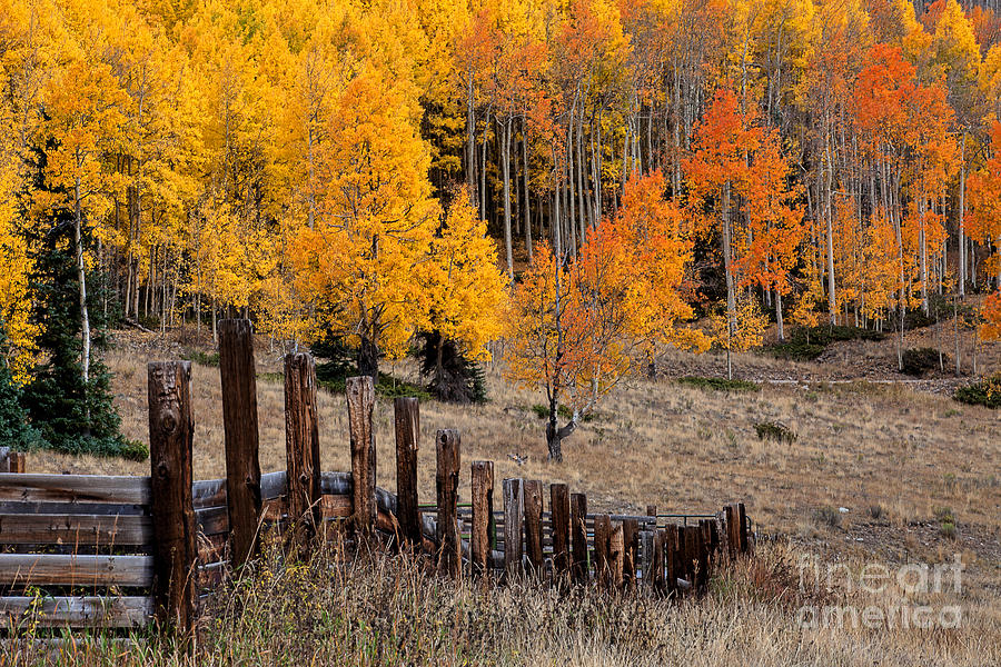 Autumn Colors Photograph - The Corral by Jim Garrison