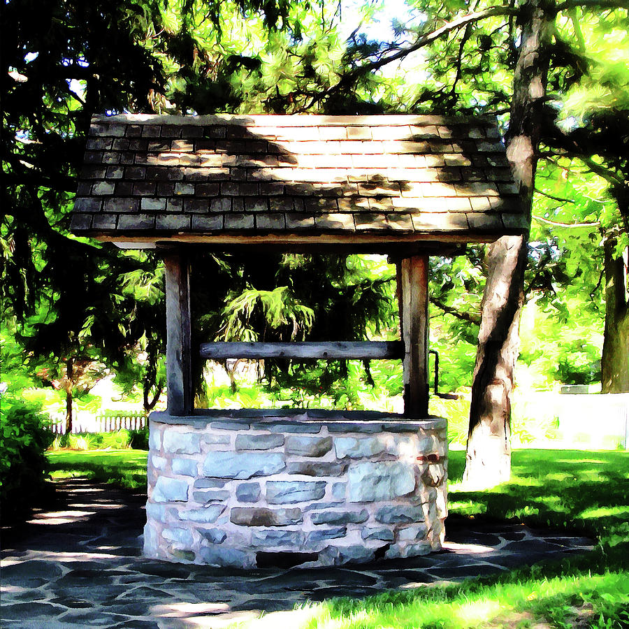 The Cottage Well Photograph by Leslie Montgomery