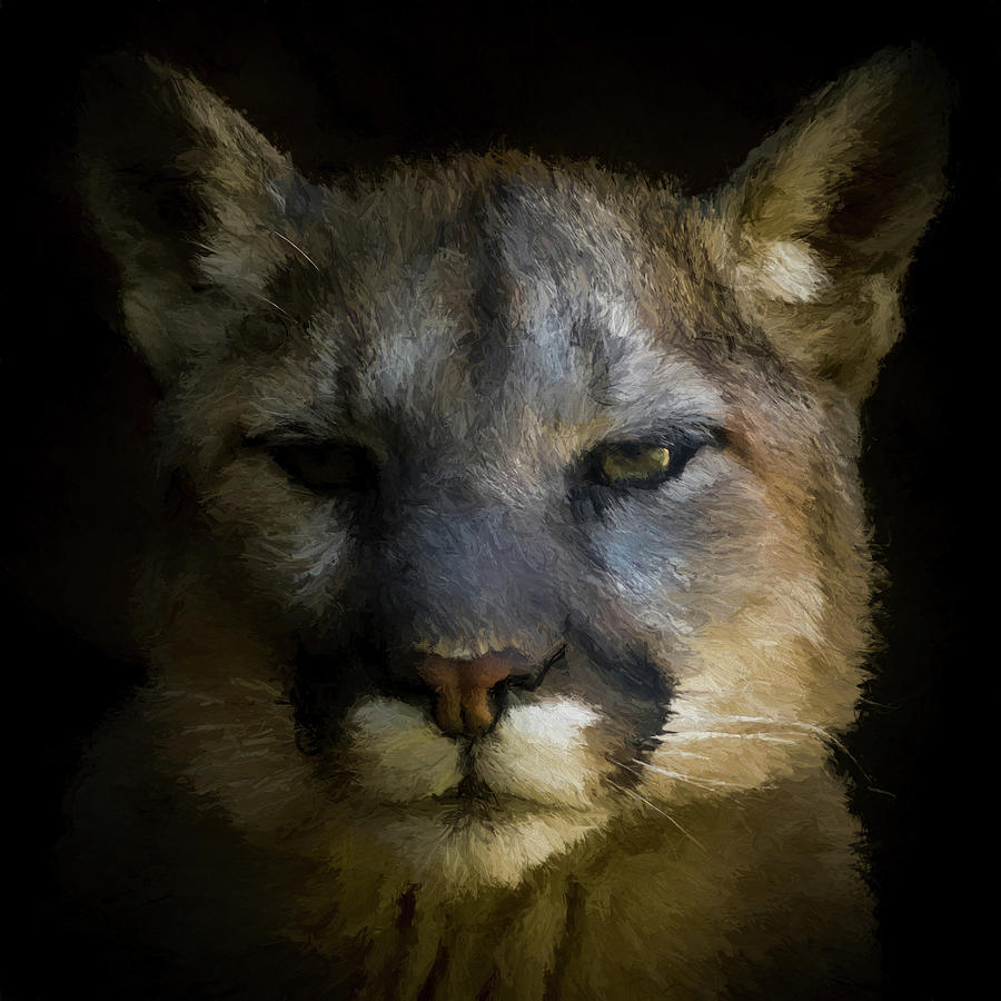The Cougar DA Digital Art by Ernest Echols