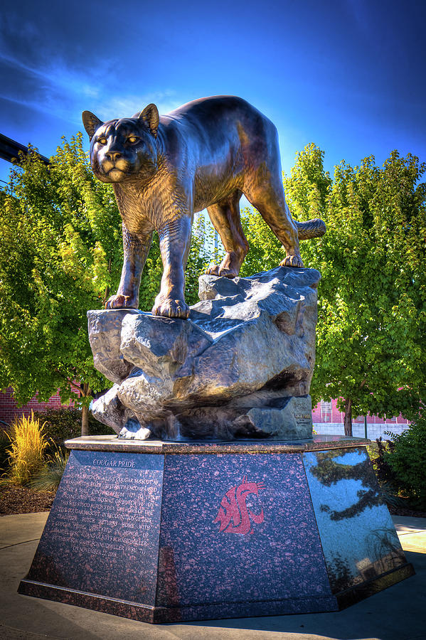 The Cougar Pride Sculpture Photograph by David Patterson