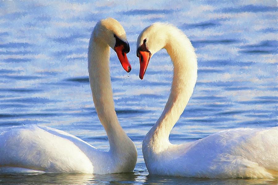 The Courtship Photograph by Carol Montoya