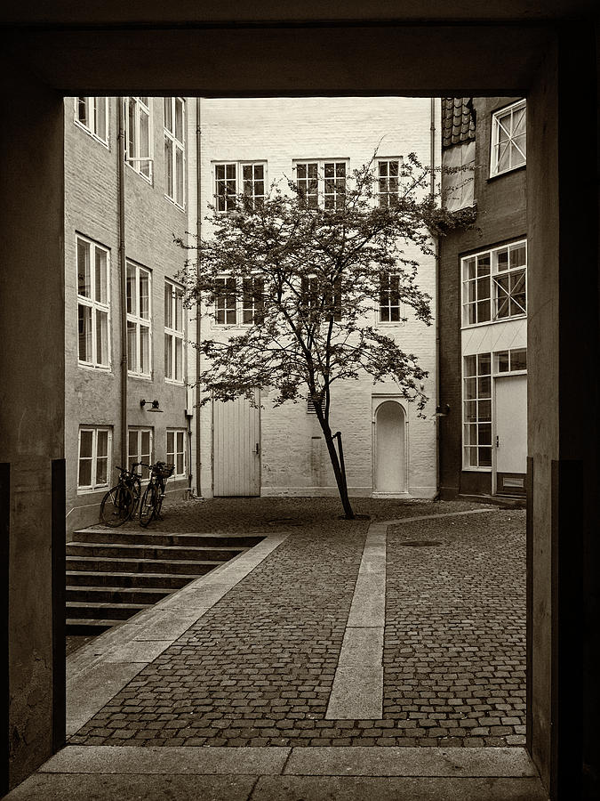 The Courtyard - 365-83 Photograph by Inge Riis McDonald