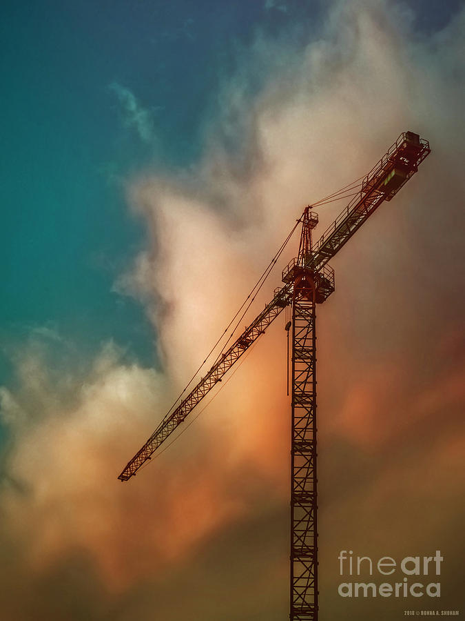 The Crane - Fine Art Photography By Ronna A. Shoham. Photograph