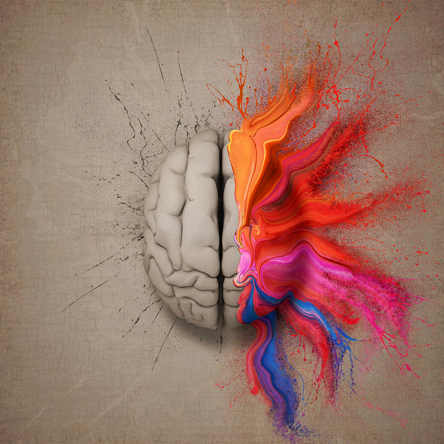 The Creative Brain Digital Art by Johan Swanepoel Pixels