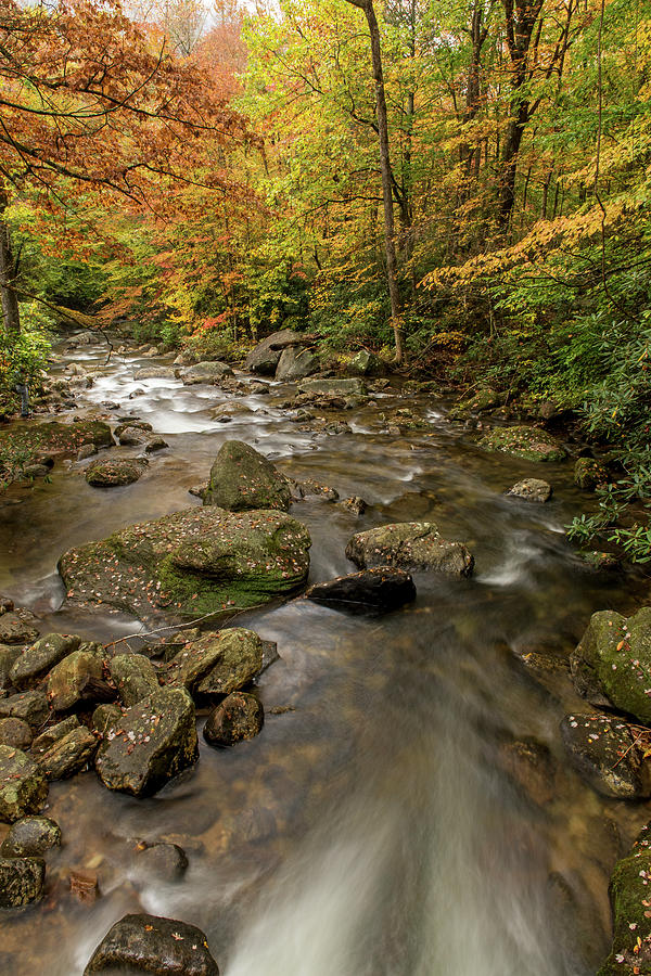 Cleveland Photograph - The Creek And Its Supporting Cast by Willie Harper