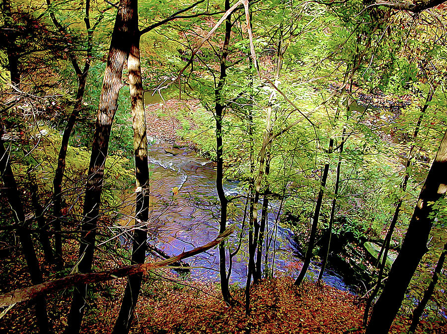 The Creek Below Photograph