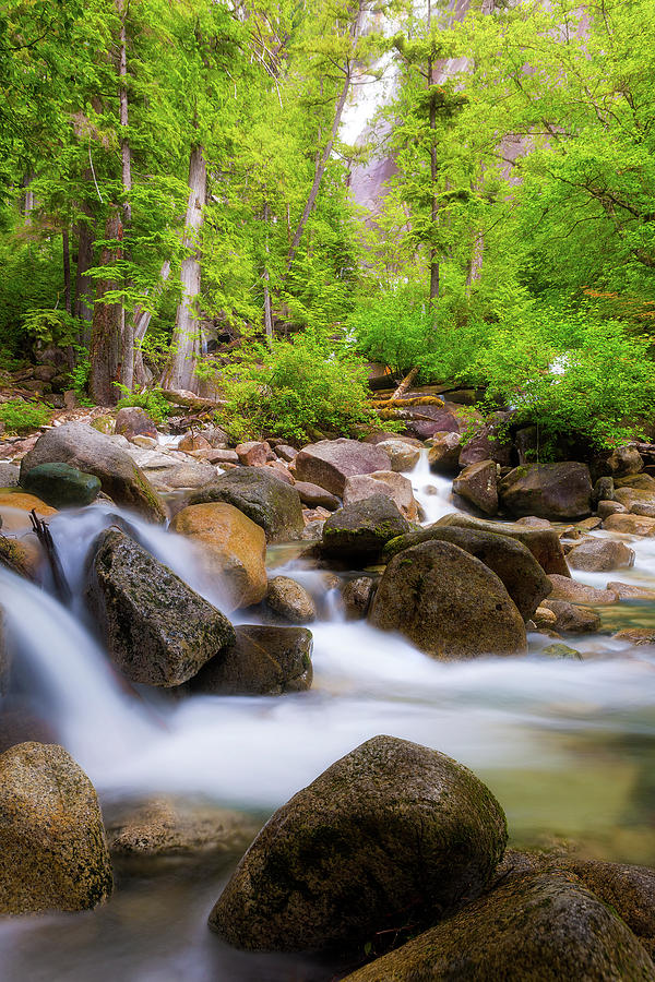 The Creek Below Shannon Falls by Jit Lim The Creek Below Shannon Falls by Jit Lim