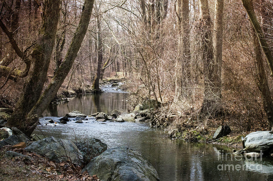 The Creek Photograph