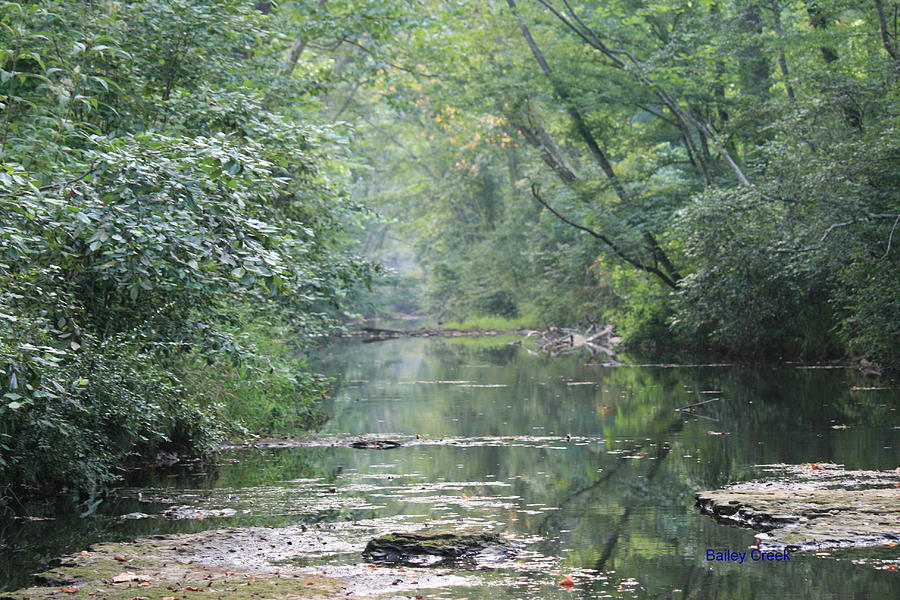 The Creek Photograph by Sheryl West - Fine Art America