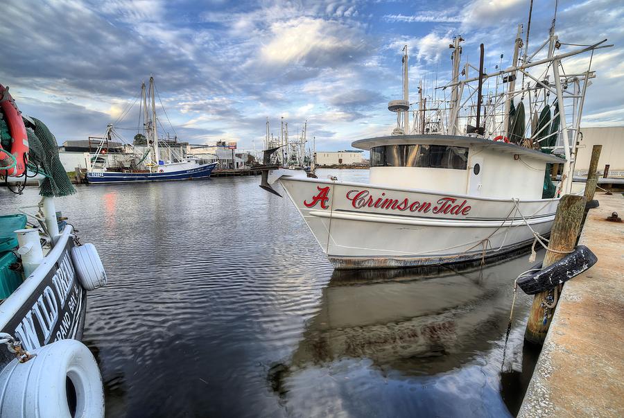 Bayou La Batre Photograph - The Crimson Tide by JC Findley