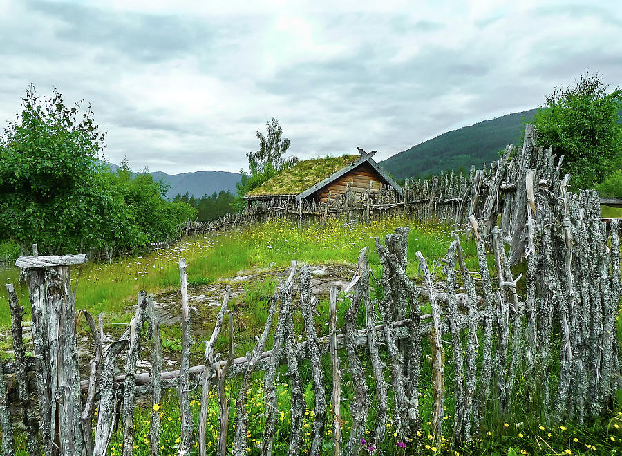 The Crooked Norwegian Fence Photograph