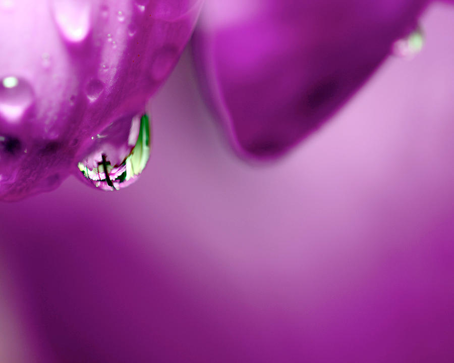 The Cross in Reflective Purple Water Drop Photograph by Laura Mountainspring