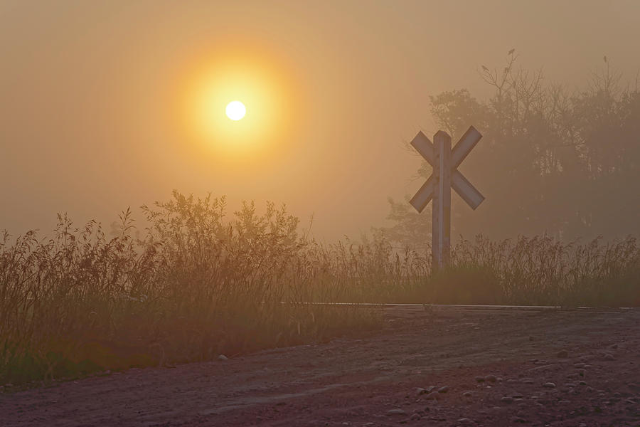 The Crossing Photograph by Dan Jurak