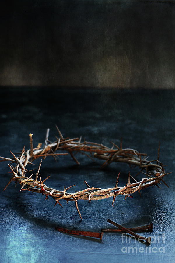 The Crown of Jesus Christ Photograph by Stephanie Frey