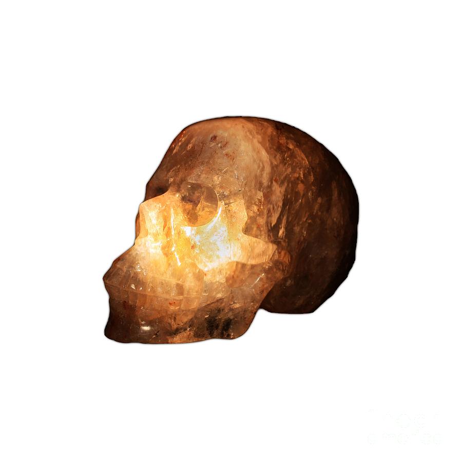 The Crystal Skull on Transparent background Photograph by Terri Waters