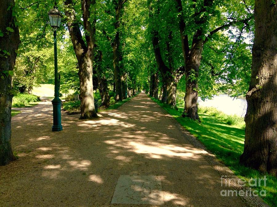 The Cycle Path at Avenham Park Photograph by Joan-Violet Stretch
