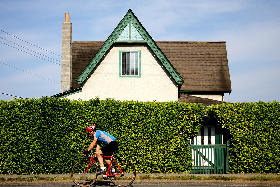 The Cyclist And The Hedge Photograph by Kreddible Trout