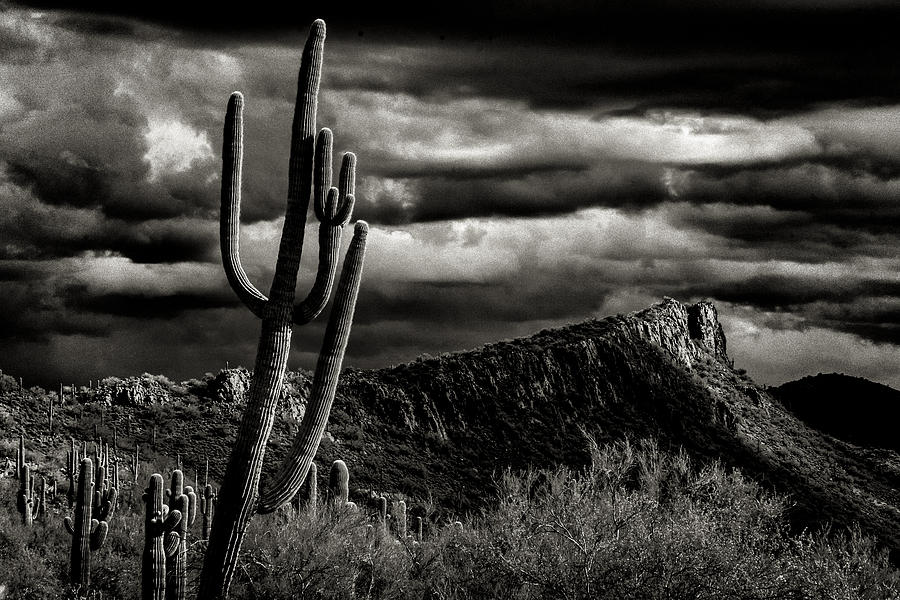 The Dance of Storm Light in Desert by Rusty Childress The Dance of Storm Light in Desert by Rusty Childress