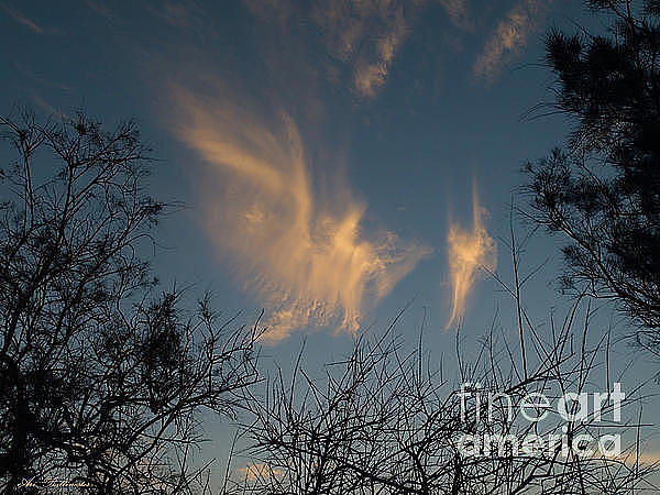 The Dancing Cloud Photograph by Arik Baltinester