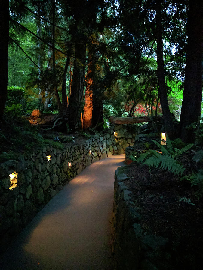 The dark path at dusk by Michael Bessler The dark path at dusk by Michael Bessler