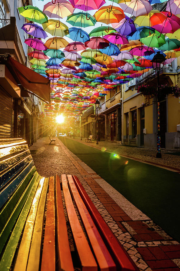 The Dawn Of A Colorful Day Photograph by Marco Oliveira