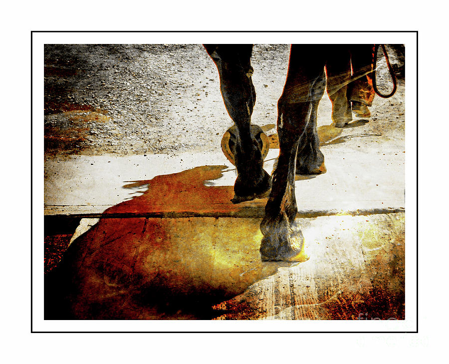 Horse Photograph - The Day Is Done III by Al Bourassa