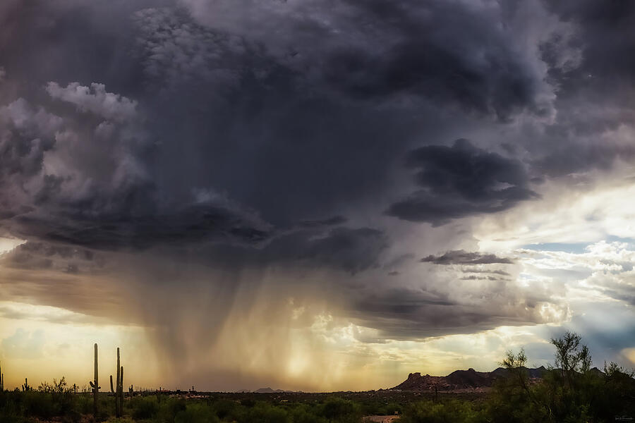 The Day it Rained Photograph by Rick Furmanek