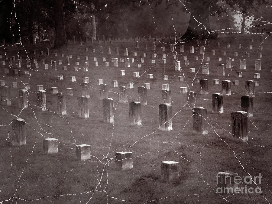 The dead at Shiloh Photograph by David Bearden