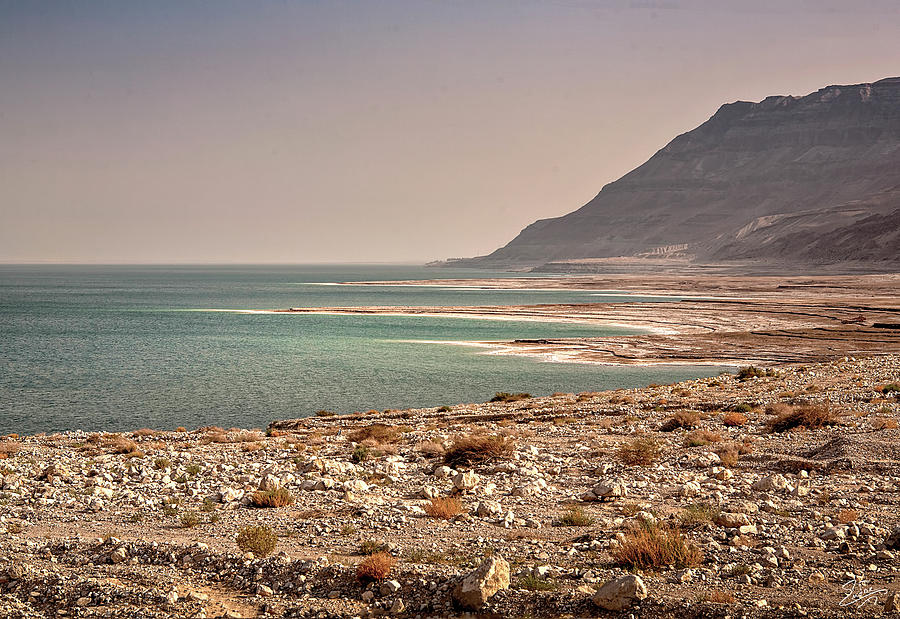 The Dead Sea Photograph by Endre Balogh