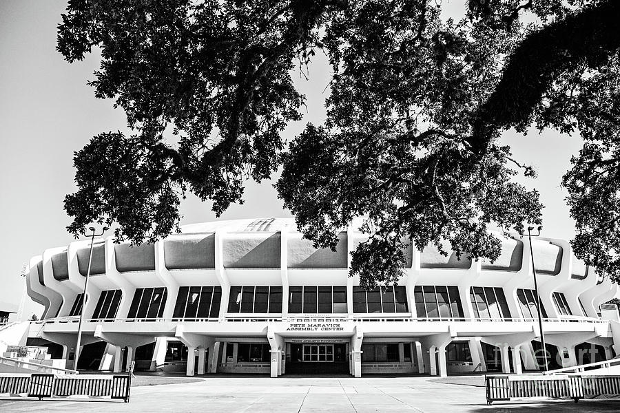 The Deaf Dome - BW Photograph by Scott Pellegrin