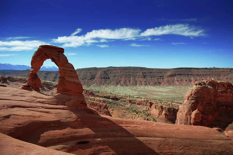 The Delicate Arch Photograph by Renee Hardison