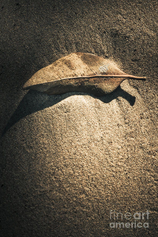 The desert burial Photograph by Jorgo Photography