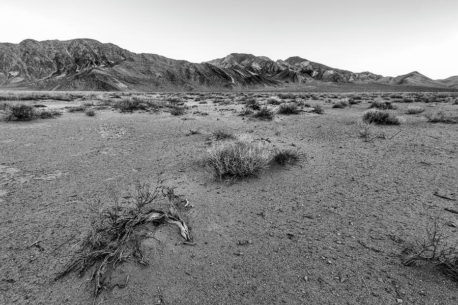 The Desert Floor Photograph by Jon Glaser