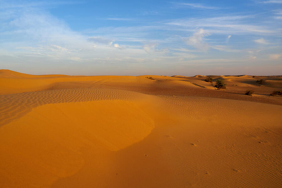 The Desert  Photograph by Jouko Lehto