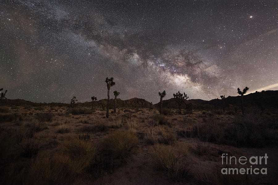 The Desert Night Photograph