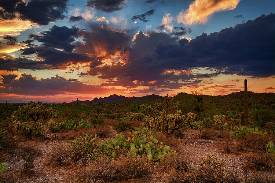The Desert Southwest at Sunset  Photograph by Saija Lehtonen