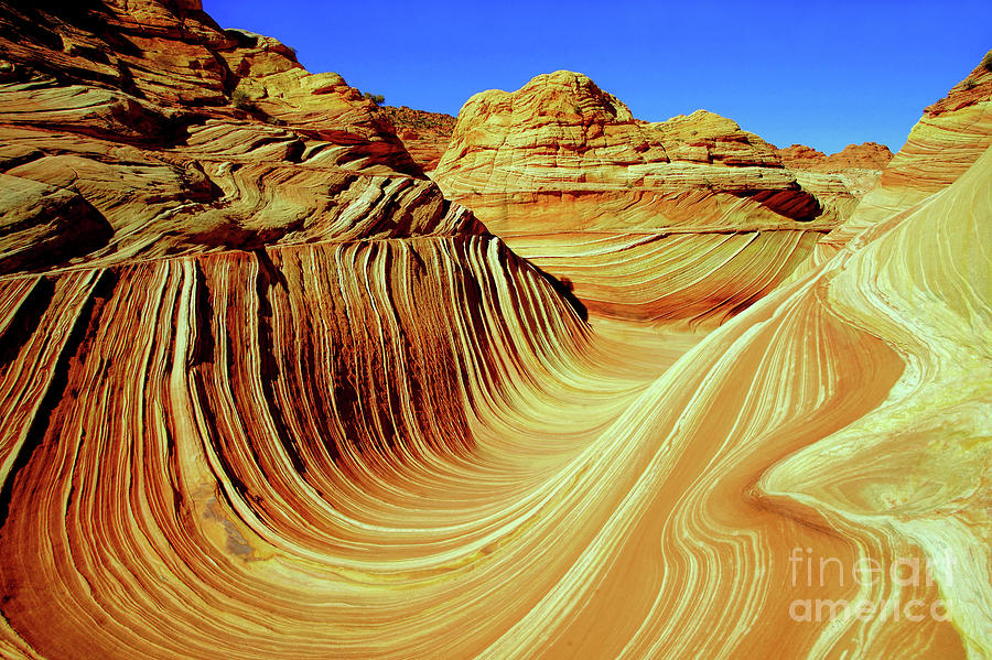The Desert Wave Photograph by Roxie Crouch