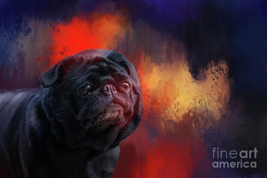 The Devil in Hell Photograph by Eva Lechner - Pixels