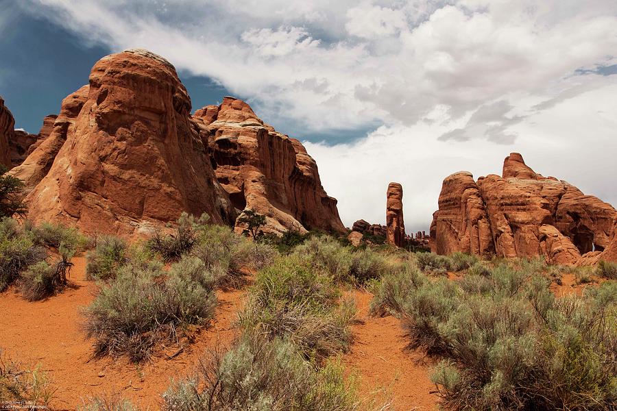 The Devils Garden - 1 Photograph by Hany J - Fine Art America