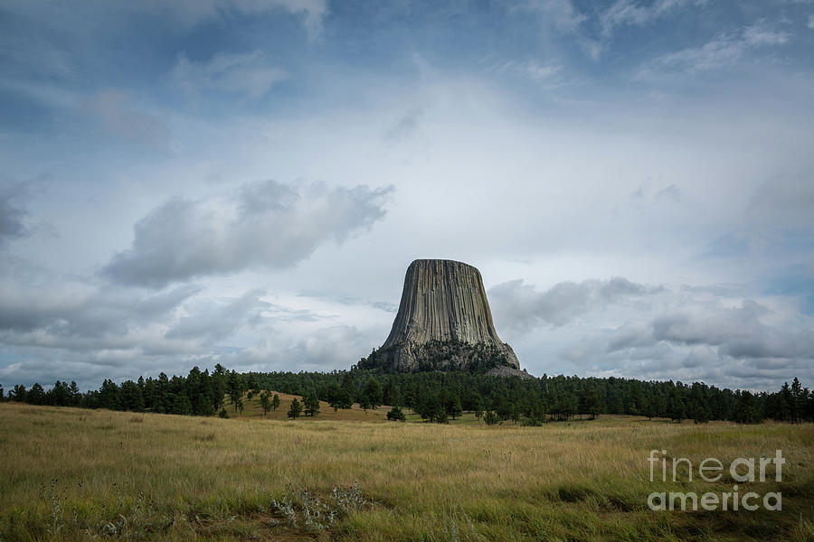 The Devils Tower  Photograph by Michael Ver Sprill