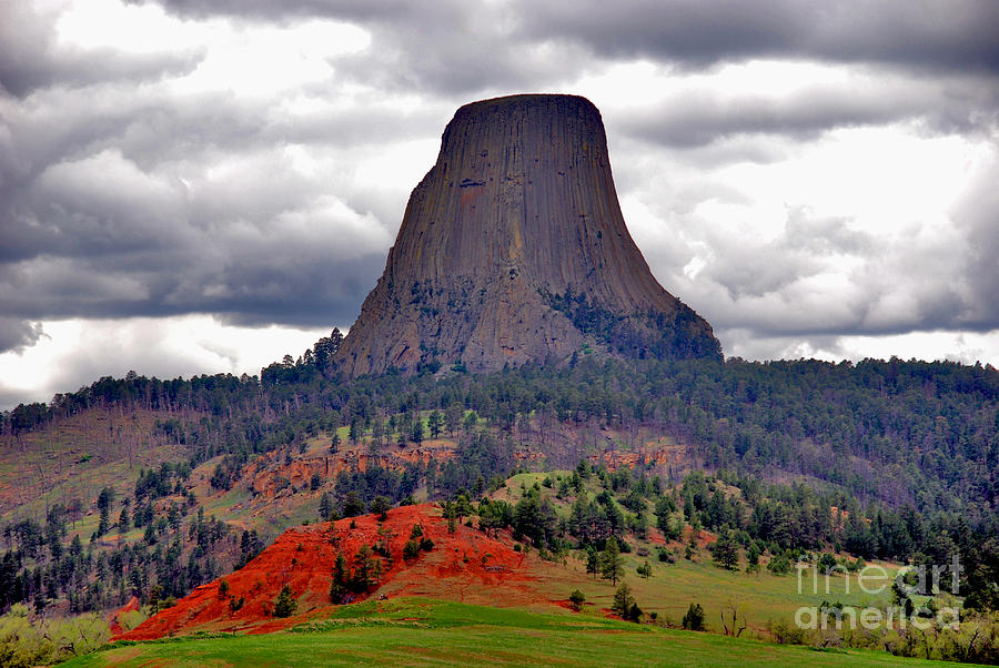 Tree Photograph - The Devils Tower WY by Susanne Van Hulst